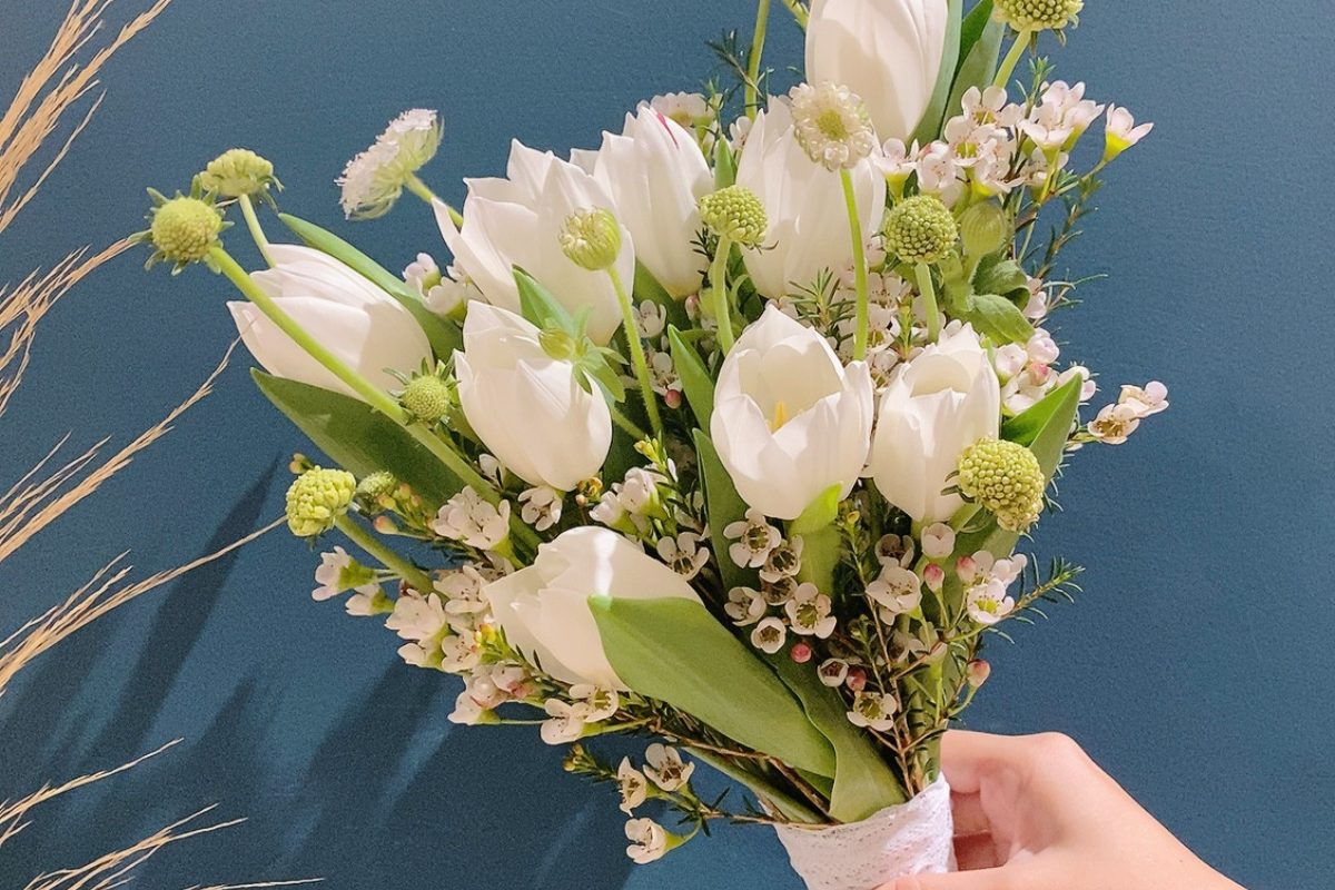 Bó tulip trắng viền thanh liễu mềm mại, phong cách châu Âu. (Ảnh: Sưu tầm)