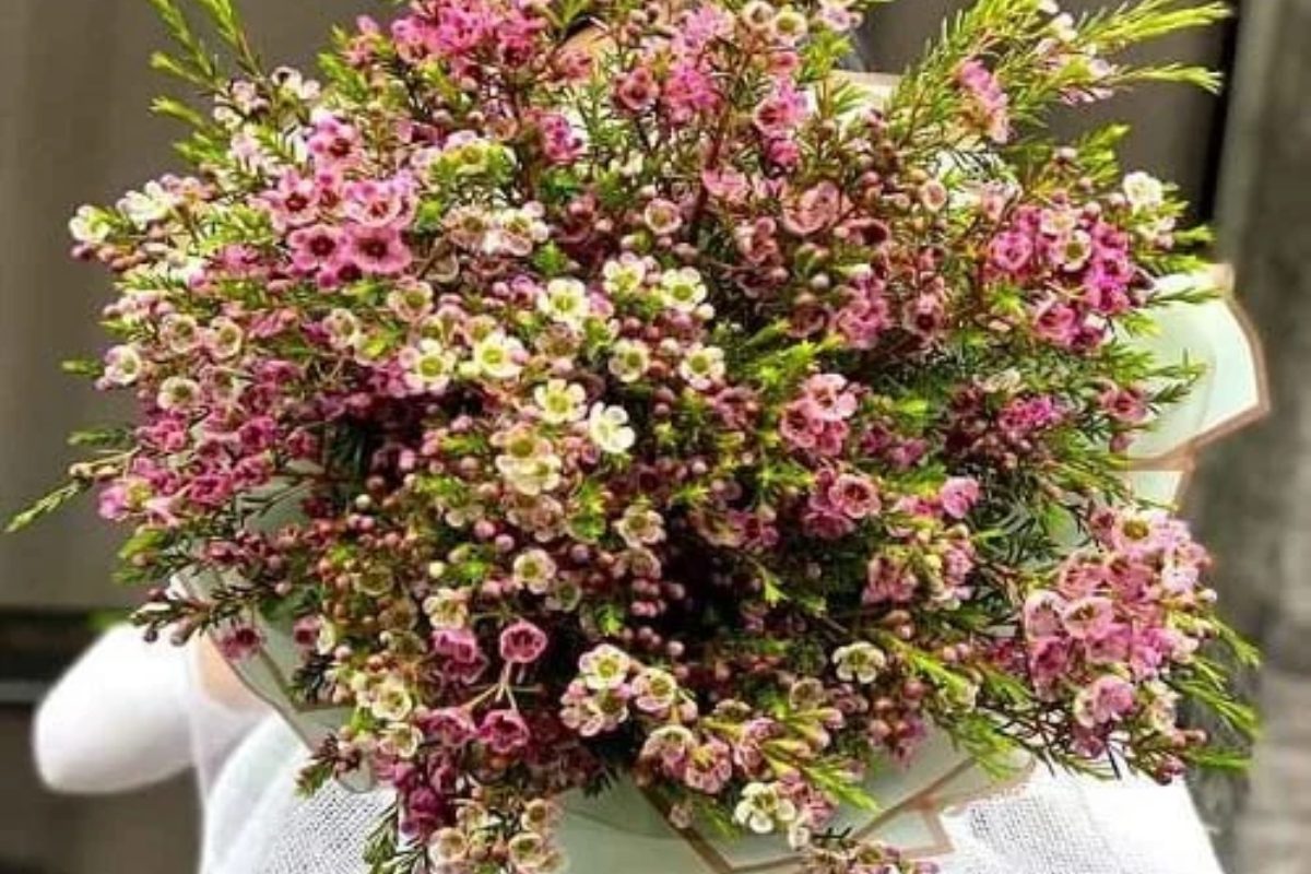 Thanh liễu xanh non được bó tròn.(Ảnh: Sưu tầm)