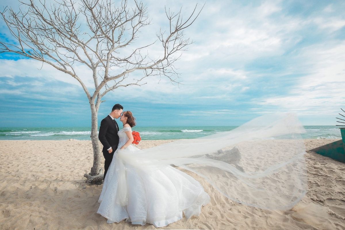 Chụp ảnh cưới ở rừng phi lao (Ảnh: Sưu tầm)