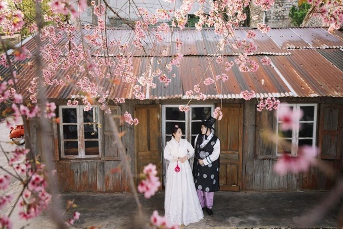 Concept truyền thống Hàn Quốc với hanbok (Ảnh: Sưu tầm)