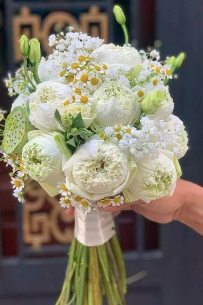 Mẫu hoa cúc tana cùng sen đá/lá xanh độc đáo (Ảnh:Sưu tầm)