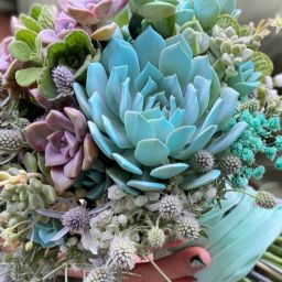 hoa cưới độc lạ