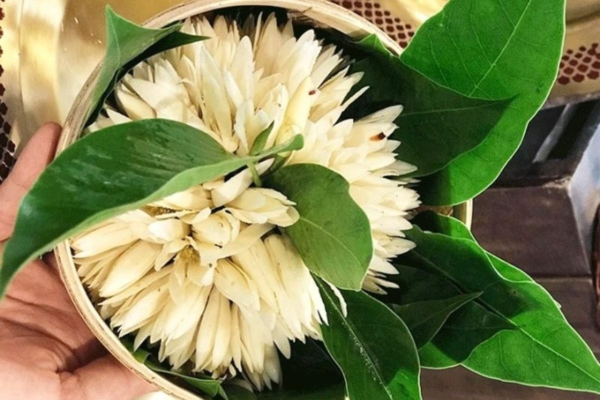 Hoa ngọc lan trắng tinh khôi trên bàn thờ cưới thể hiện lòng thành kính và sự thanh cao. (Ảnh: Sưu tầm) 