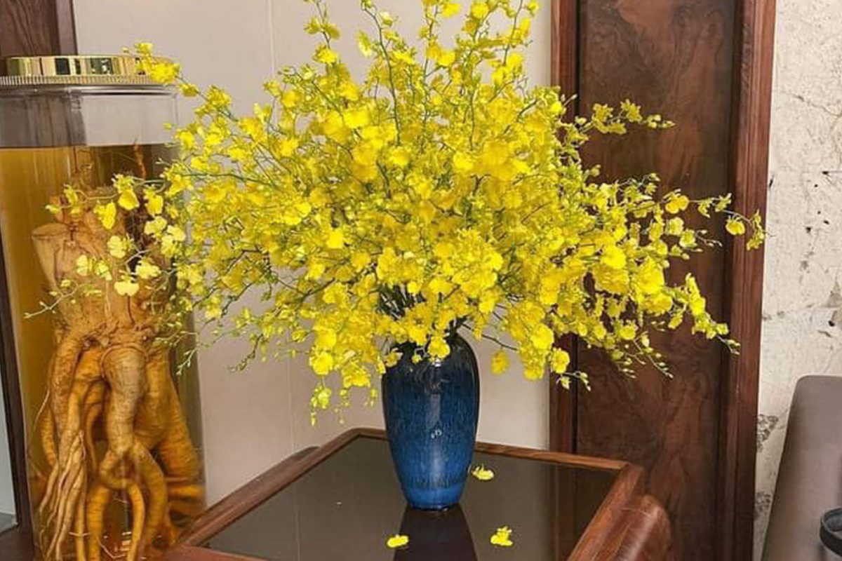 Hoa lan vũ nữ màu vàng rực trang trí bàn thờ cưới tượng trưng cho sự hân hoan và duyên dáng. (Ảnh: Sưu tầm) 