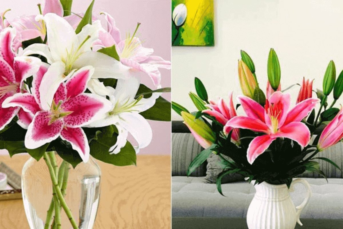 Hoa ly hồng trang trí bàn thờ ngày cưới biểu tượng cho tình yêu dịu dàng và sâu sắc. (Ảnh: Sưu tầm) 
