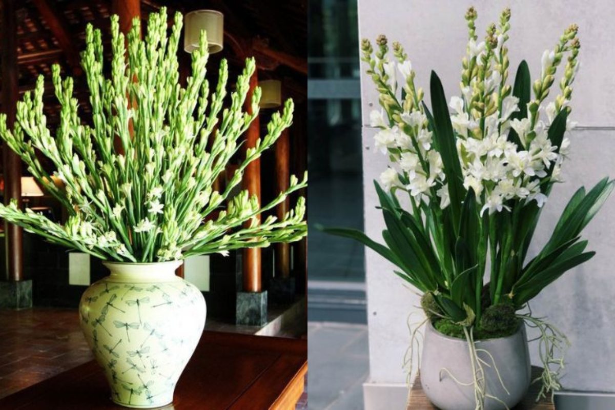 Hoa huệ trắng trang trí bàn thờ cưới mang lại cảm giác thuần khiết và thanh cao. (Ảnh: Sưu tầm) 