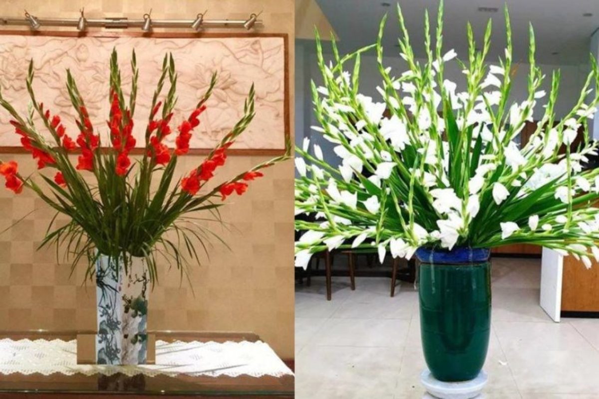 Bình hoa bàn thờ cắm lay ơn. (Ảnh: Sưu tầm)