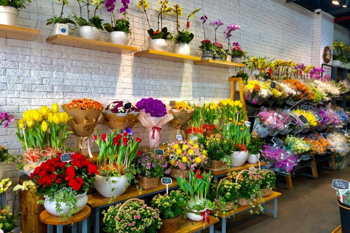 Dalat Hasfarm tiên phong trong lĩnh vực trồng hoa chuyên nghiệp (Ảnh: Sưu tầm)