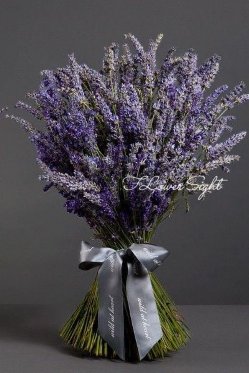 Mẫu bó hoa lavender đơn giản (Ảnh: Sưu tầm)