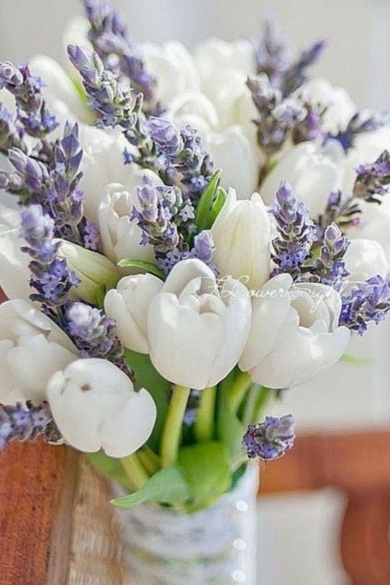 Mẫu bó hoa lavender mix (Ảnh: Sưu tầm)