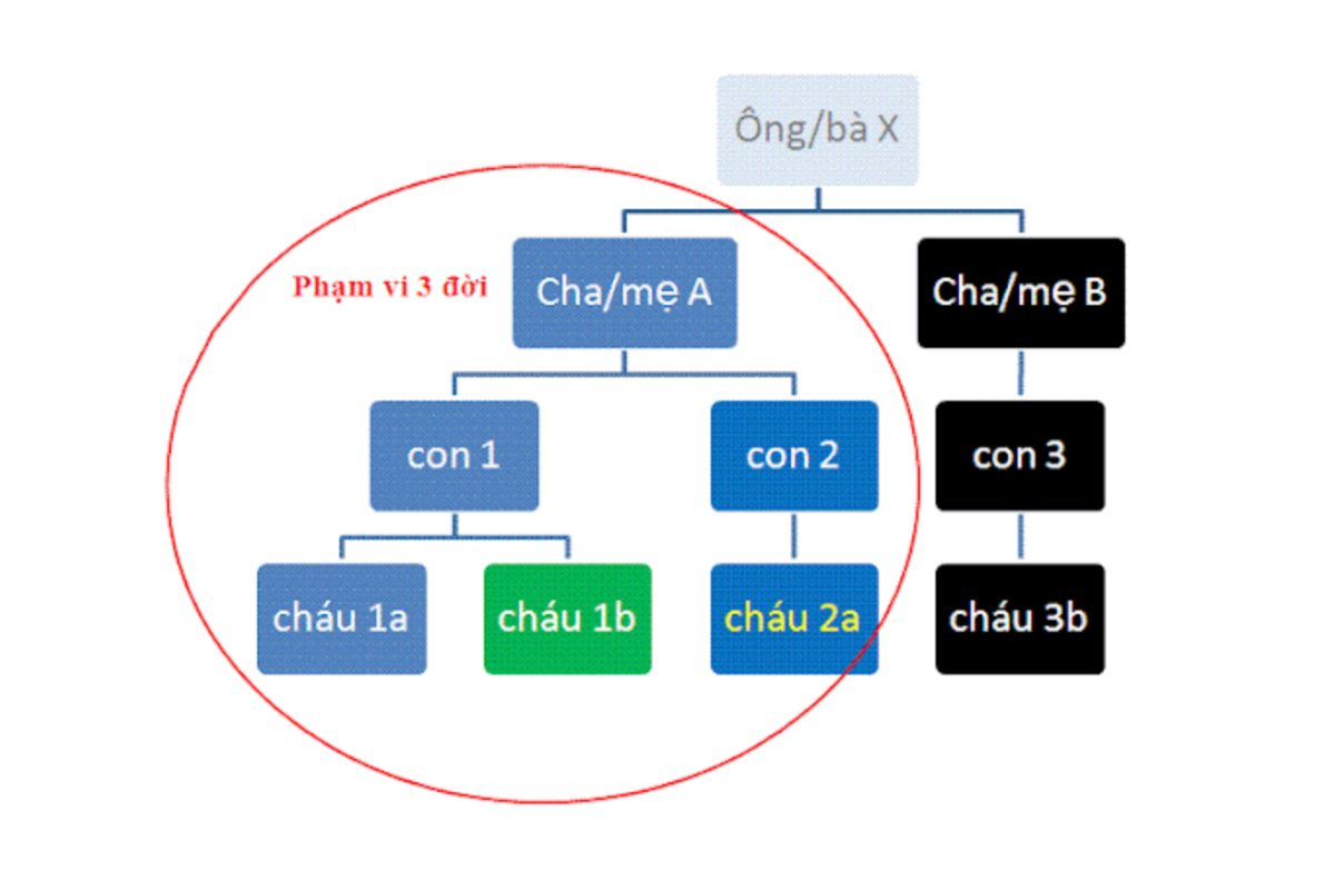 Các mối quan hệ trong phạm vi 3 đời (Ảnh: sưu tầm)