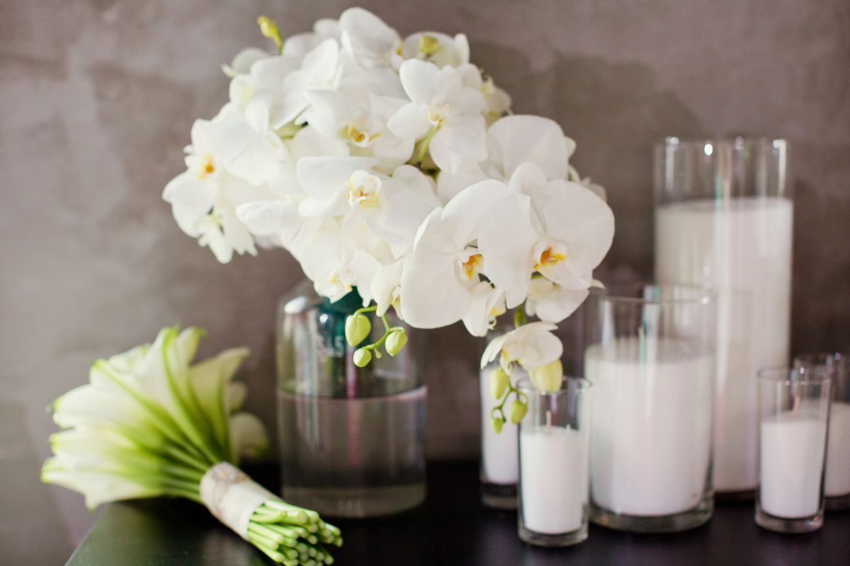 Hoa lan mang vẻ đẹp của sự sang trọng (Ảnh: Sưu tầm)