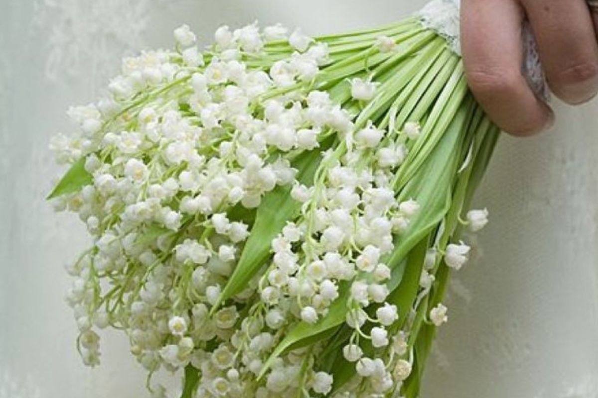 Bó hoa linh lan dáng dài (Ảnh: Sưu tầm)
