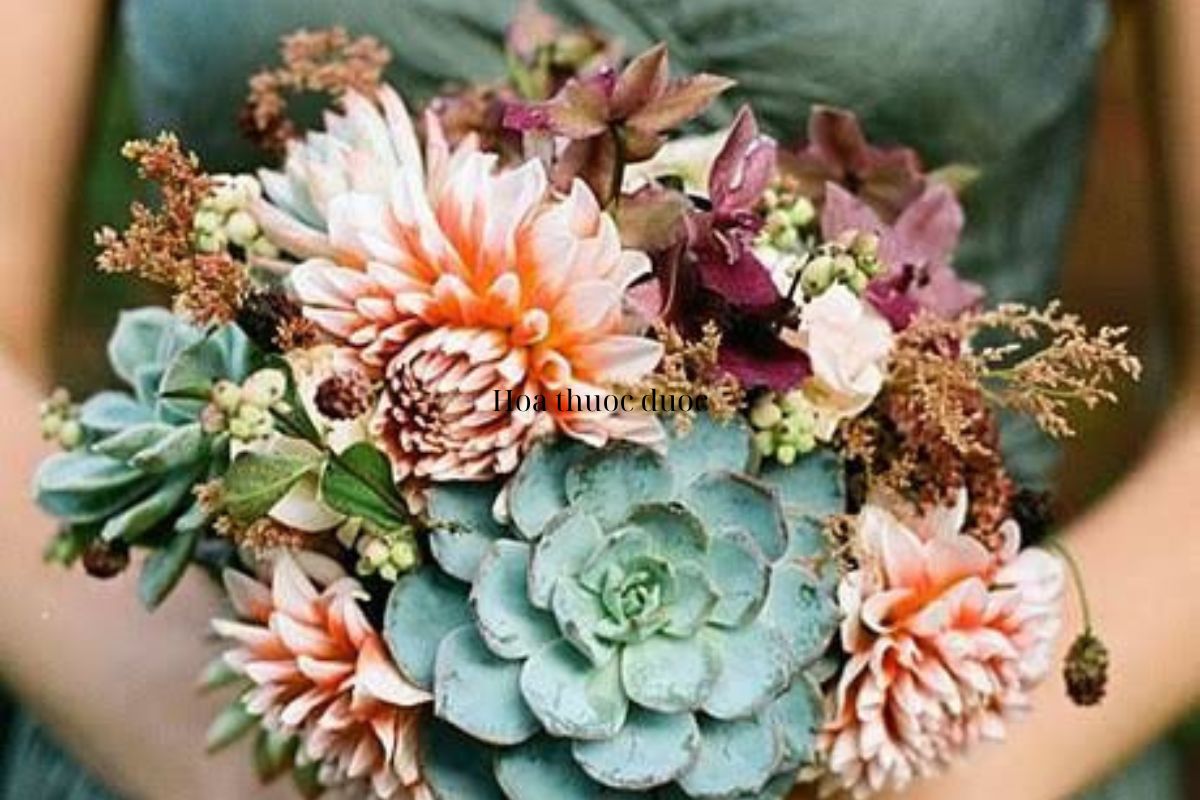 Hoa thược dược (Ảnh: Sưu tầm)
