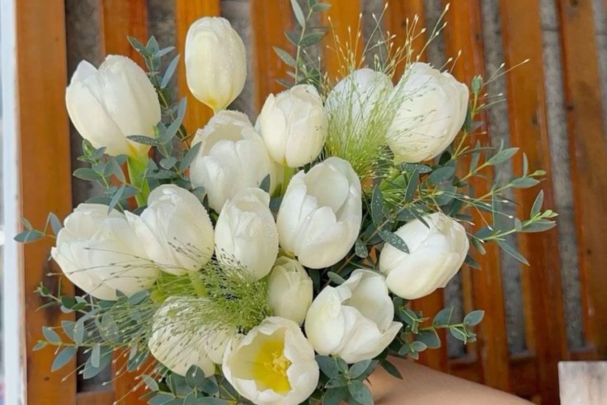 Hoa tulip (Ảnh: Sưu tầm)