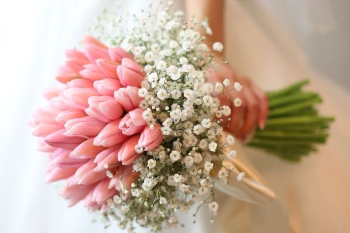 Mẫu đơn và tulip rực rỡ sắc xuân (Ảnh: Sưu tầm)