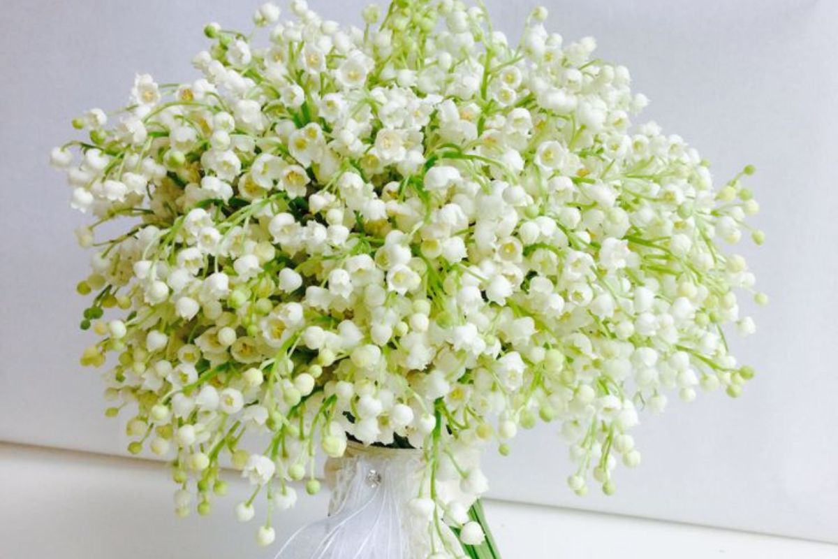 Mỗi màu sắc hoa đều mang ý nghĩa riêng biệt (Ảnh: Sưu tầm)