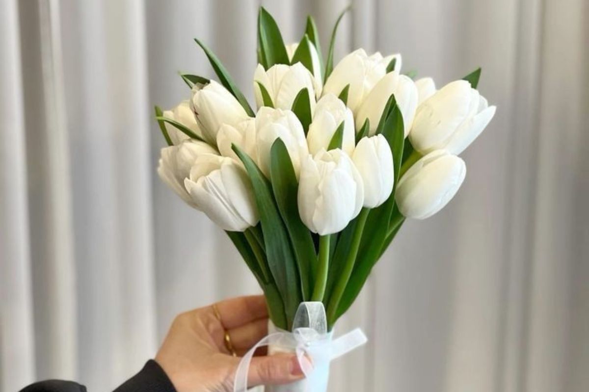 Tulip hoặc lily tạo nét dịu dàng (Ảnh: Sưu tầm)