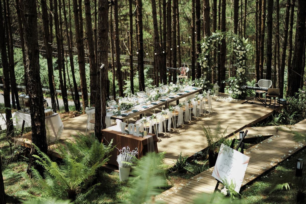 Rừng Thông Mơ Farm Bistro Ankroet thiên nhiên trong lành yên tĩnh (Ảnh: Sưu tầm)