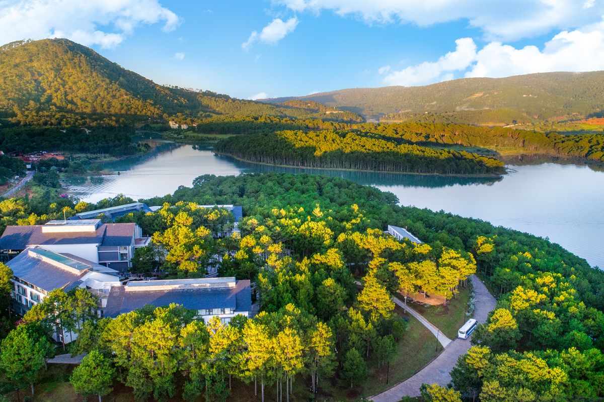 Terracotta Đà Lạt Resort đám cưới lãng mạn giữa rừng thông (Ảnh: Sưu tầm)