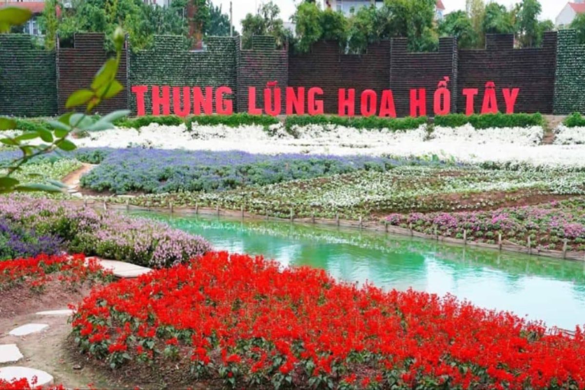 Khu vườn hoa rực rỡ tại Thung Lũng Hoa Hồ Tây – nơi hoàn hảo cho lễ cưới ngoài trời. (Ảnh: Sưu tầm)
