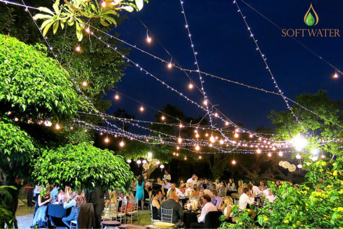 Softwater không chỉ đơn thuần là một nhà hàng tiệc cưới mà là không gian trải nghiệm nghệ thuật. (Ảnh: Nhà hàng Softwater) 