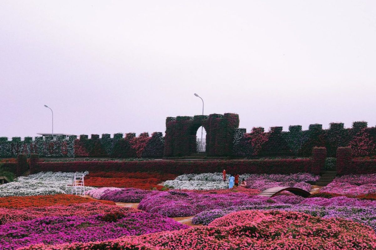 Không gian vườn hoa rộng tại Thung Lũng Hoa Hồ Tây – địa điểm lý tưởng cho tiệc cưới ngoài trời phong cách rustic và greenery. (Ảnh: Sưu tầm)
