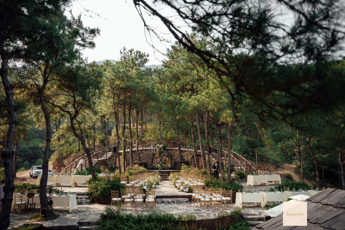 Đám cưới chill riêng tư tại Đồi Llum giữa rừng thông Sóc Sơn (Ảnh: Sưu tầm)