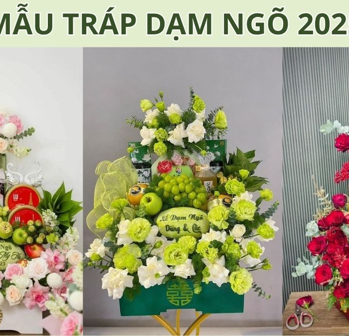 Mẫu Tráp Dạm Ngõ Đẹp, Sang Trọng 2025: Gợi Ý Cách Chọn Và Bày Trí Chuẩn Lễ Nghĩa