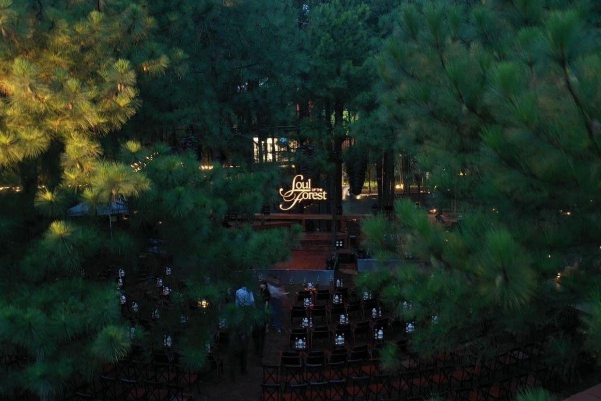 Không gian sân khấu ngoài trời nằm giữa rừng thông rất lãng mạn và đậm chất thiên nhiên. (ẢNH: Sưu tầm)