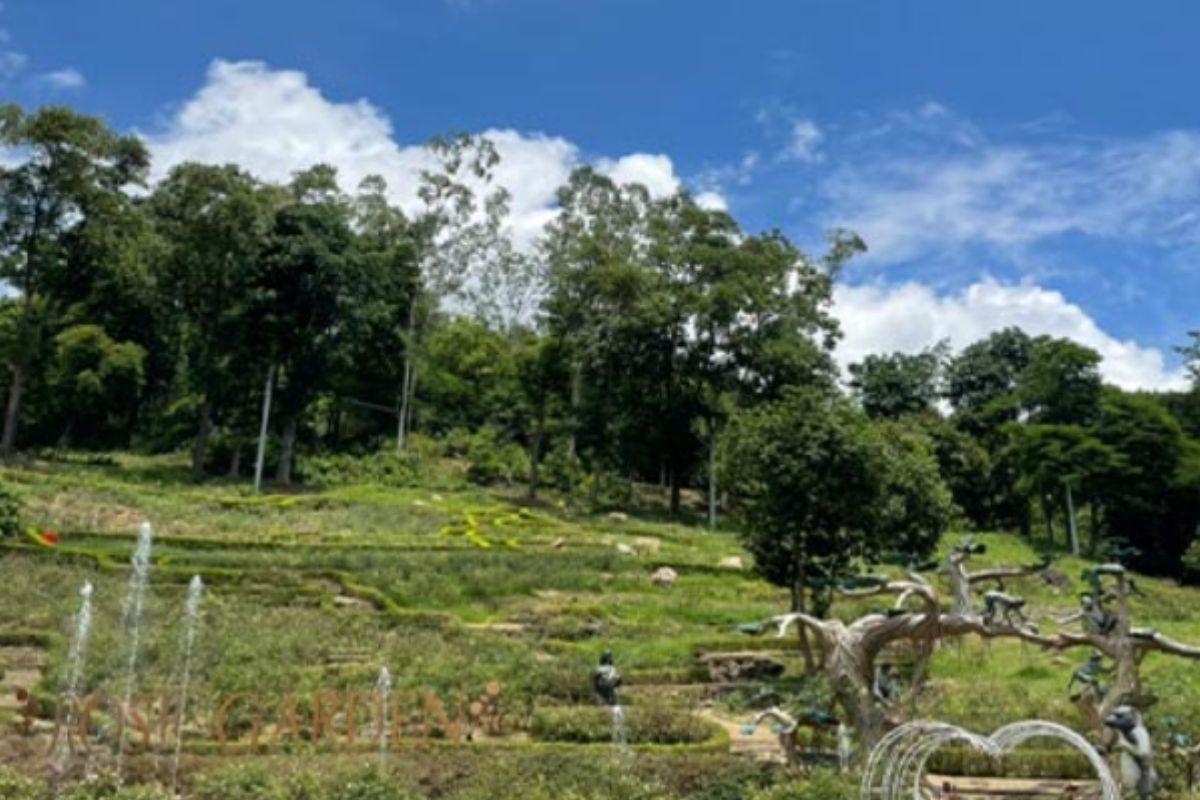 Khu sân vườn tại Paragon Resort là lựa chọn được yêu thích nhất bởi không gian mở hoàn toàn, thảm cỏ rộng. (ẢNH: Sưu tầm)