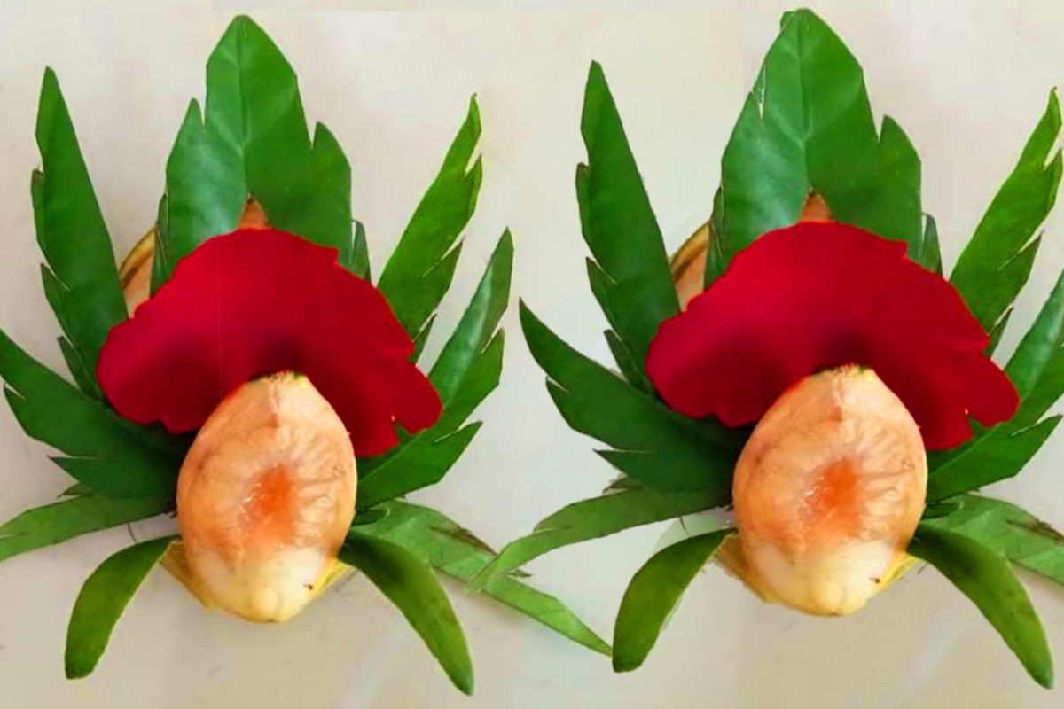 Trầu têm cánh phượng thể hiện sự chỉn chu và tôn trọng nghi lễ cưới hỏi truyền thống (Ảnh: sưu tầm)